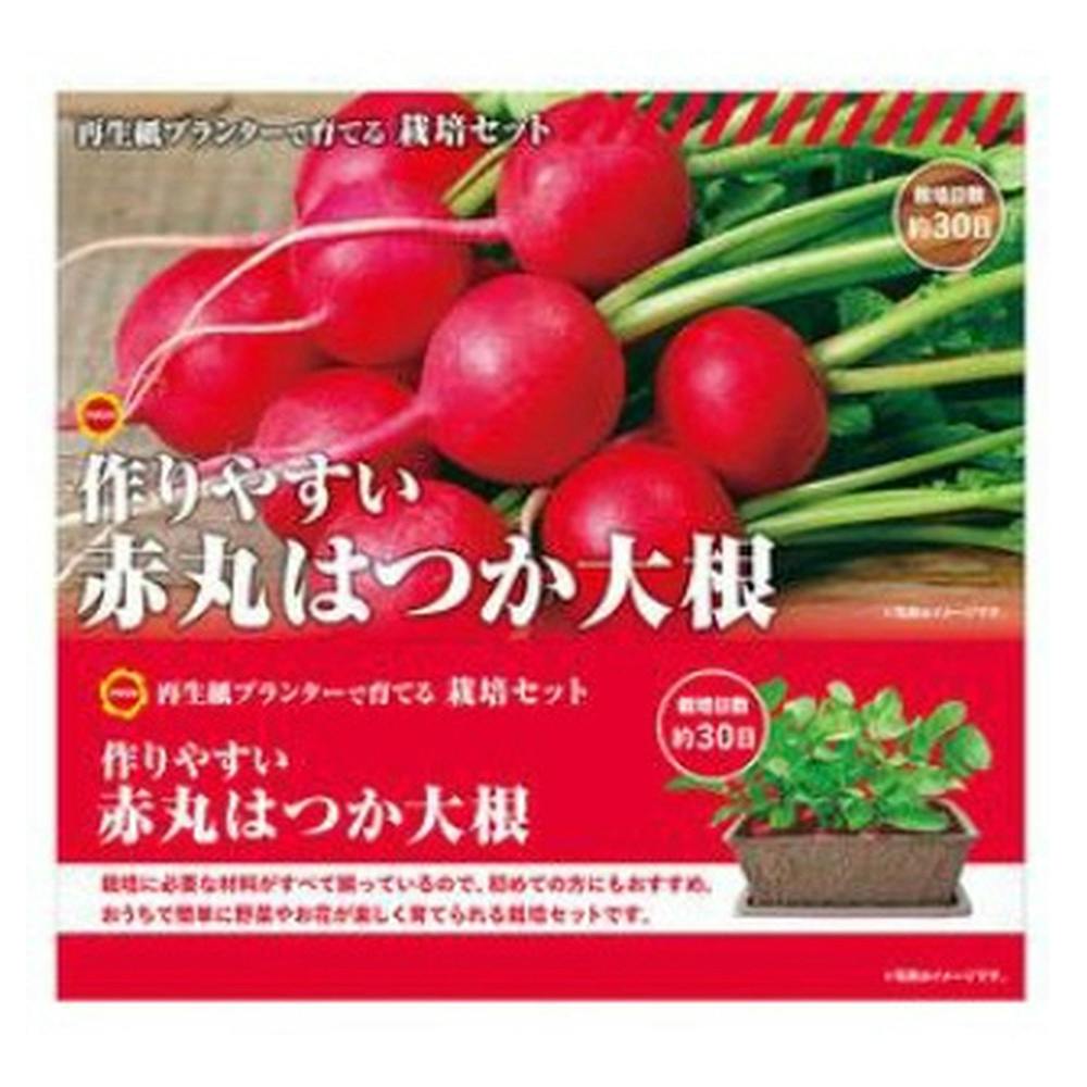 栽培セット ラディッシュ