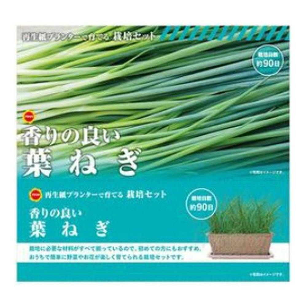 栽培セット 葉ねぎ