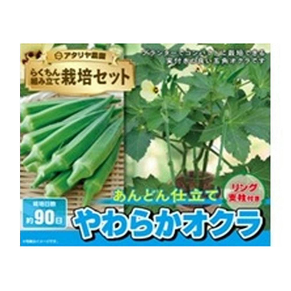 オクラ栽培セット