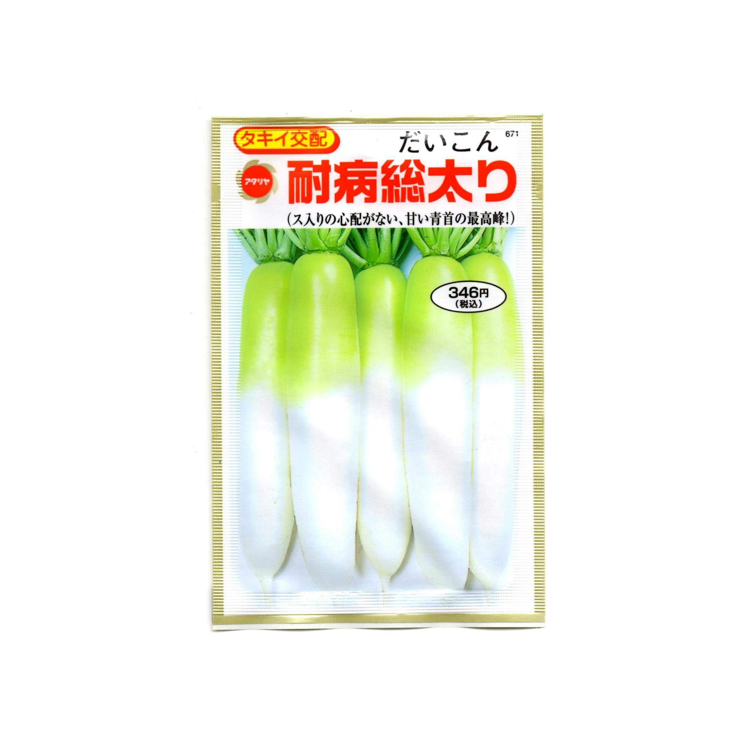 送料無料 だいこん 大根 １本 国産 - 野菜