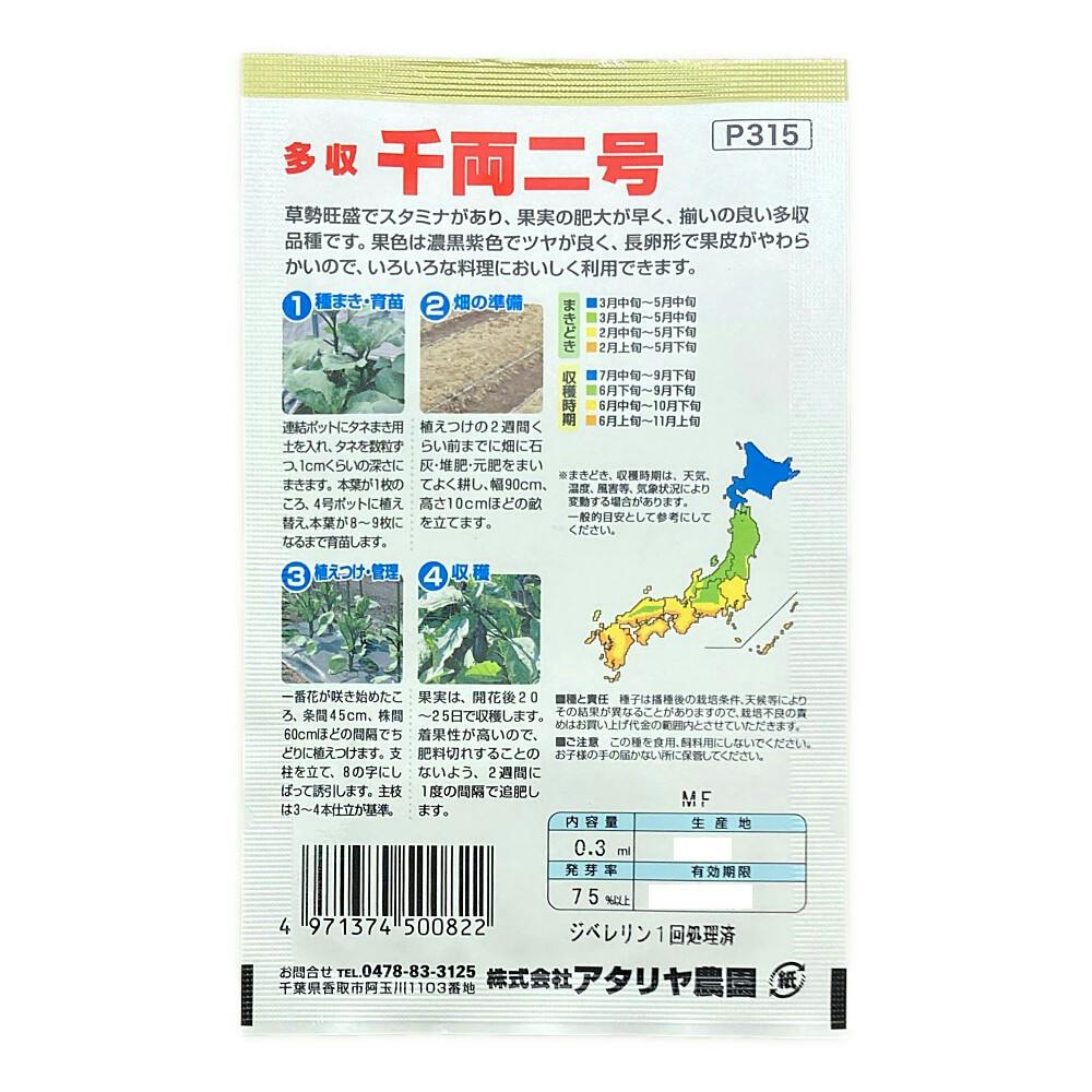 ナス トロっと甘い「絹かわなす」（L14個または2L11個入り）＊愛媛
