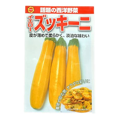 アタリヤ 西洋野菜 イエローズッキーニ