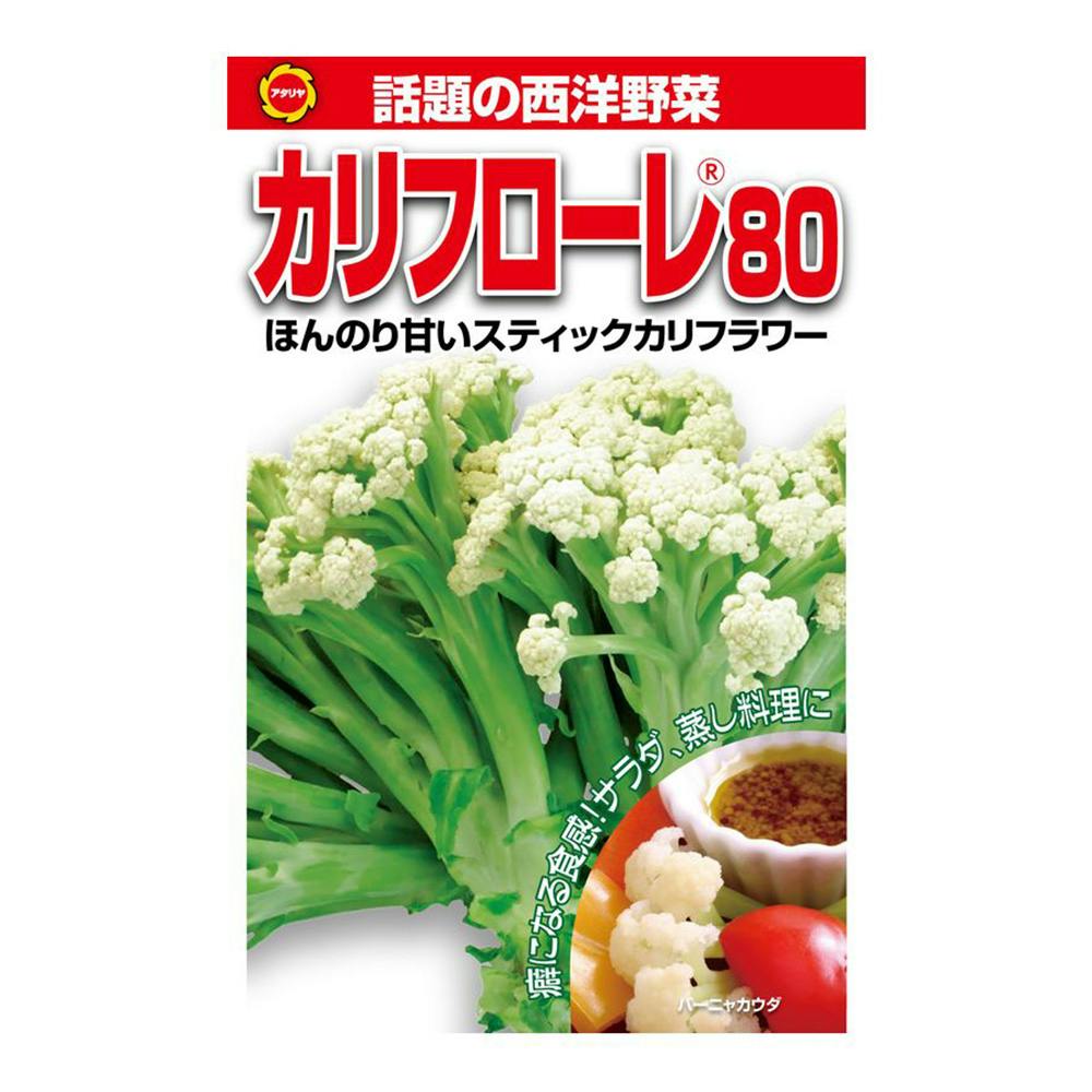 西洋野菜 カリフローレ 80