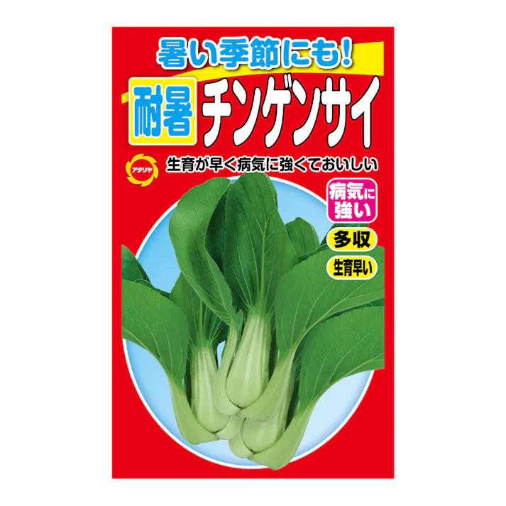 暑い夏に強い! 耐暑チンゲンサイ