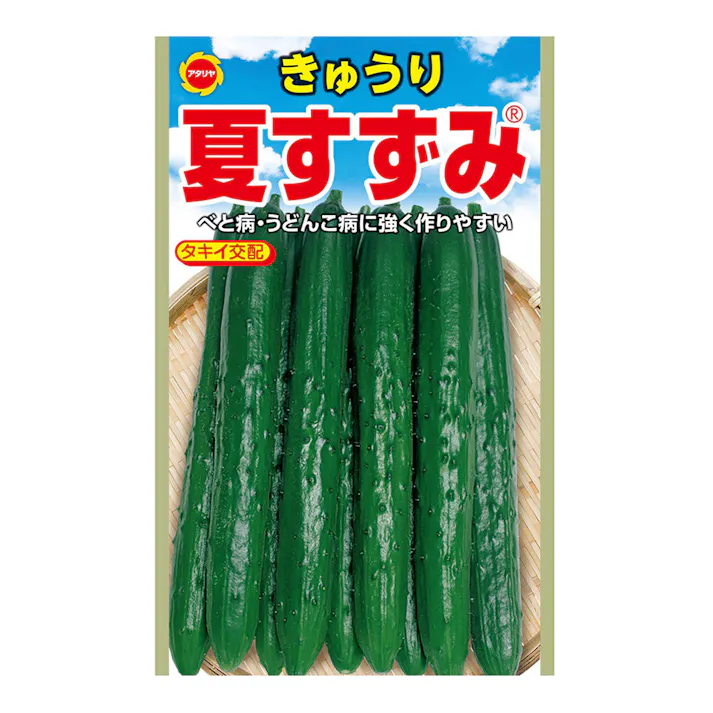 夏すずみ きゅうり