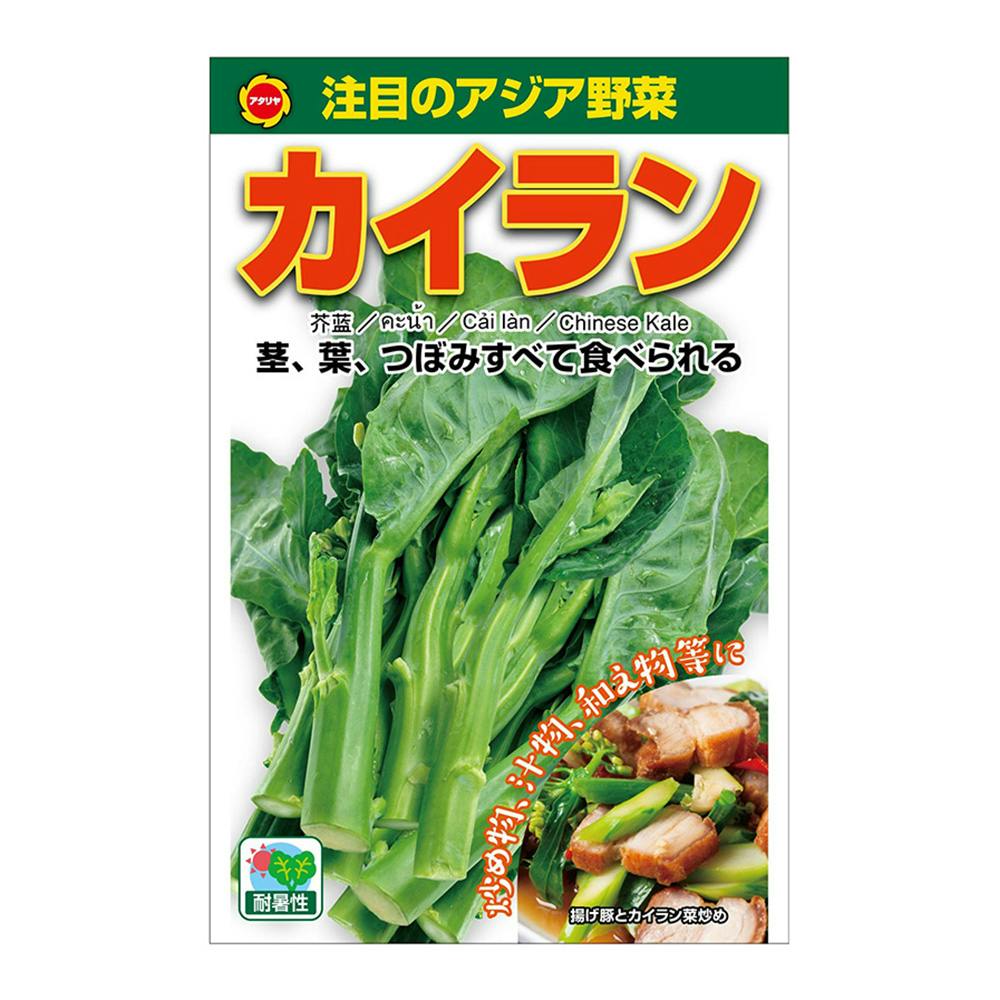 アジア野菜 カイラン