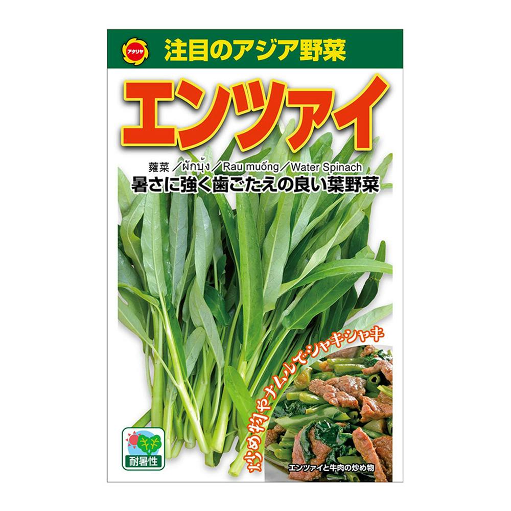 アジア野菜 エンツァイ