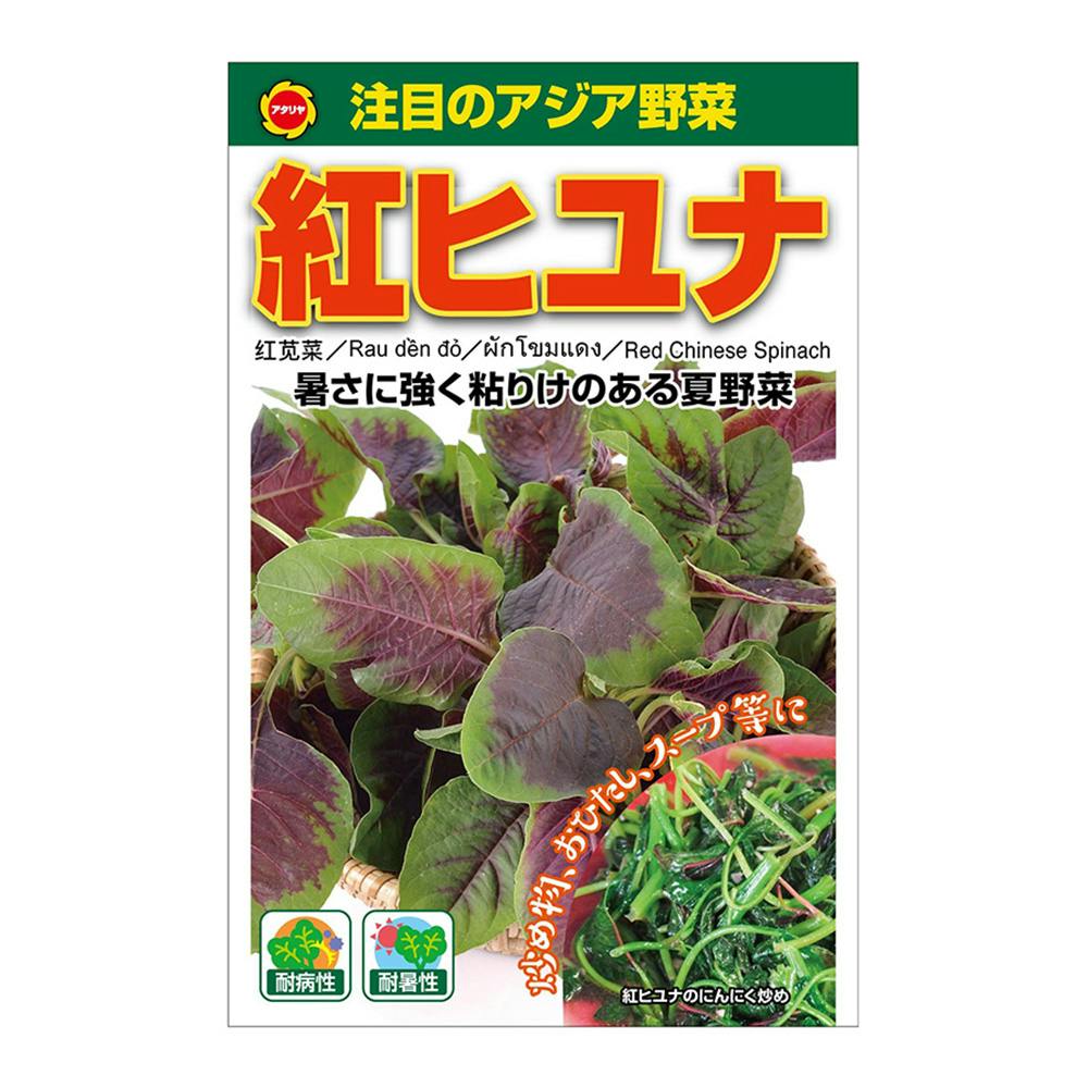 アジア野菜 紅ヒユナ