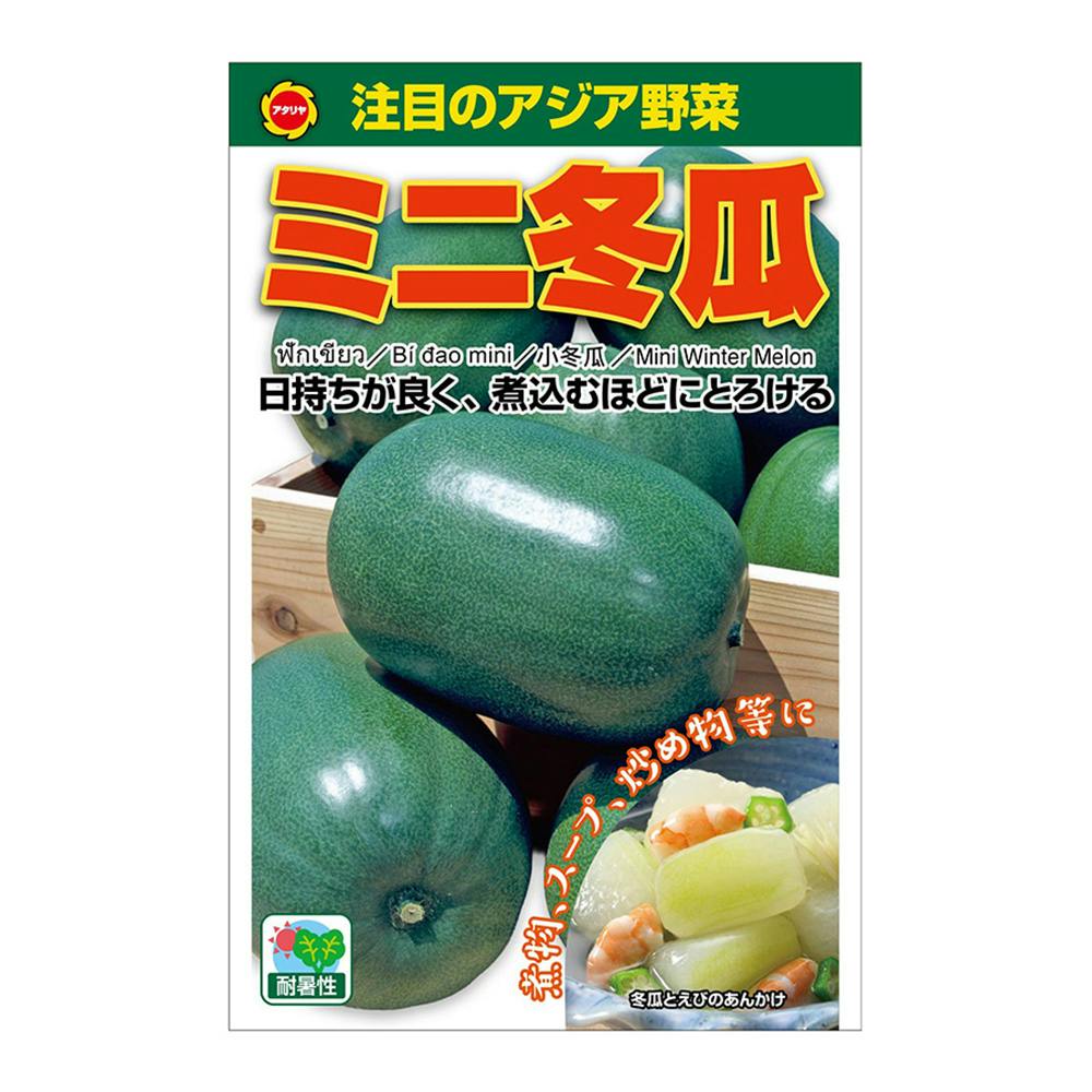 アジア野菜 ミニ冬瓜