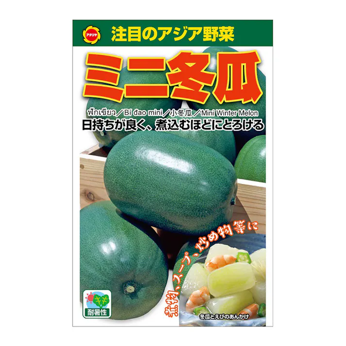 アジア野菜 ミニ冬瓜