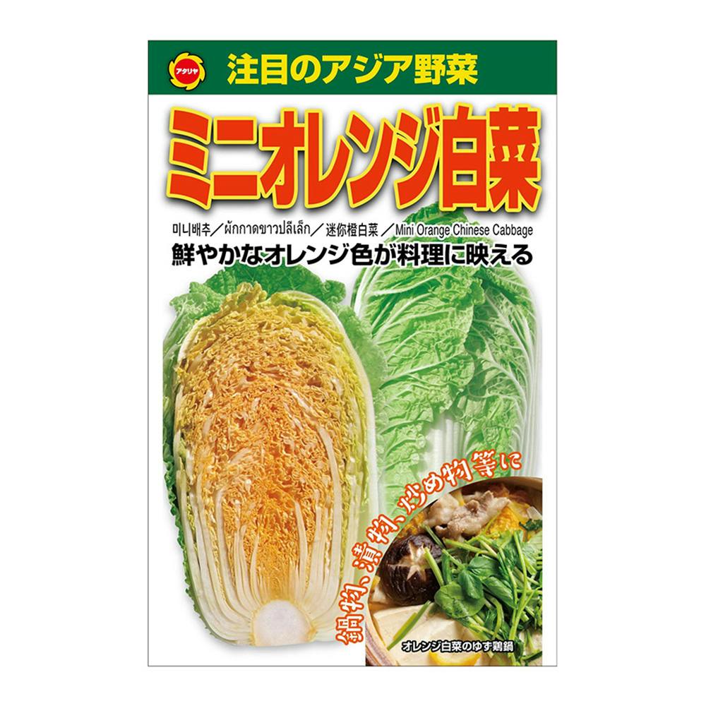 アジア野菜 ミニオレンジ白菜