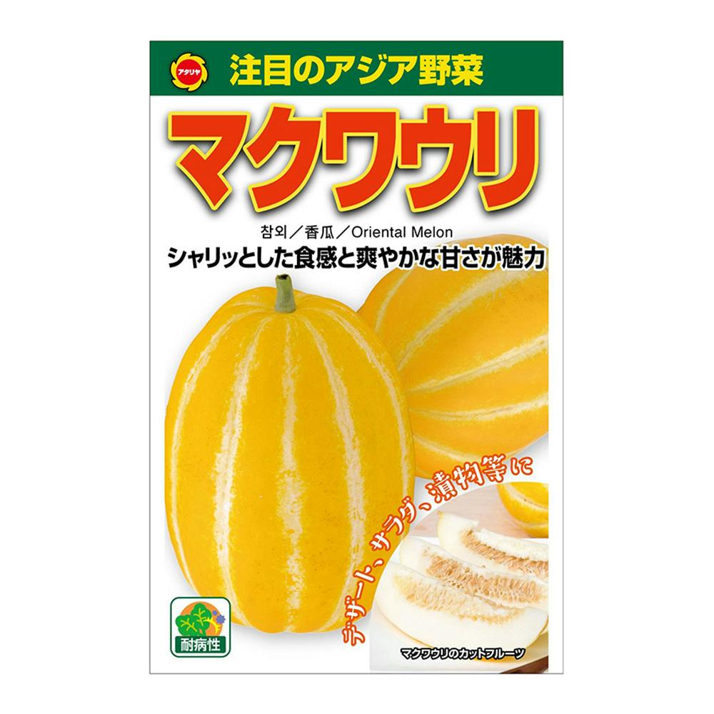 アジア野菜 マクワウリ