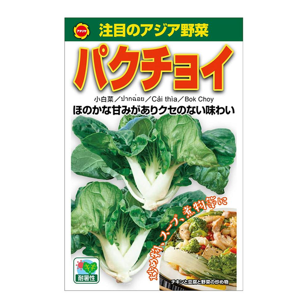アジア野菜 パクチョイ