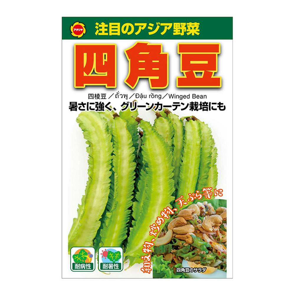 アジア野菜 四角豆