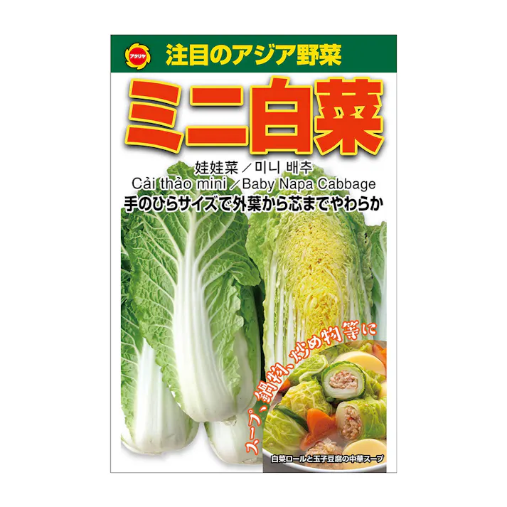 アジア野菜 ミニ白菜