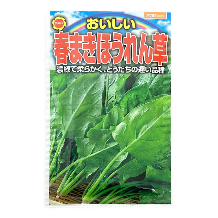 おいしい 春まきホウレン草