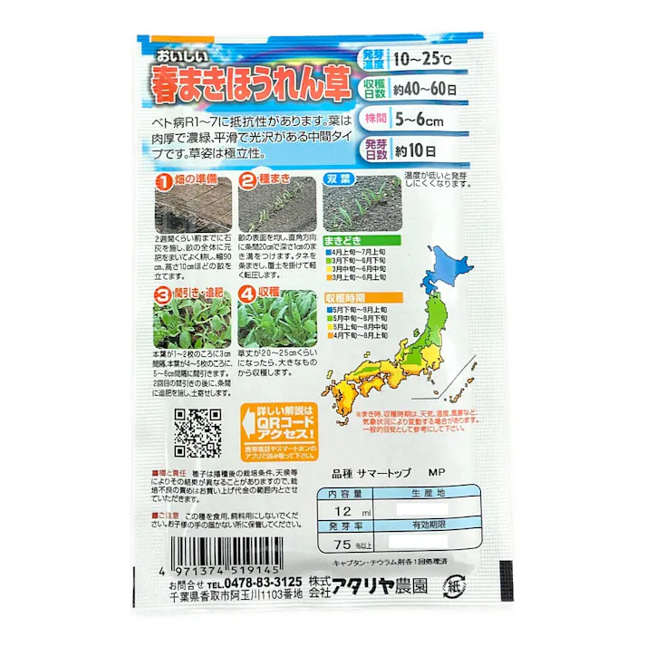 おいしい 春まきホウレン草