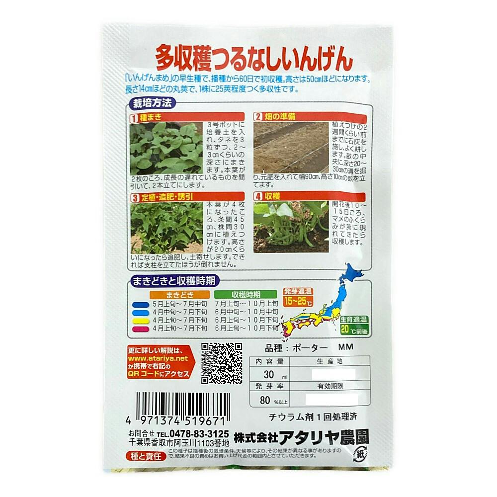 けんげん様 リクエスト 4点 まとめ商品 多収穫 つるなしいんげん | 花&グリーン 通販 | ホームセンター