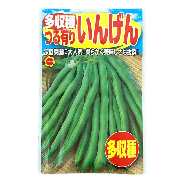 多収穫 つるありいんげん