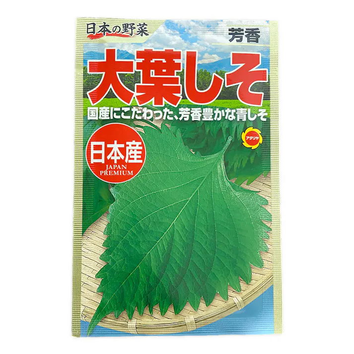 日本の野菜 芳香大葉しそ