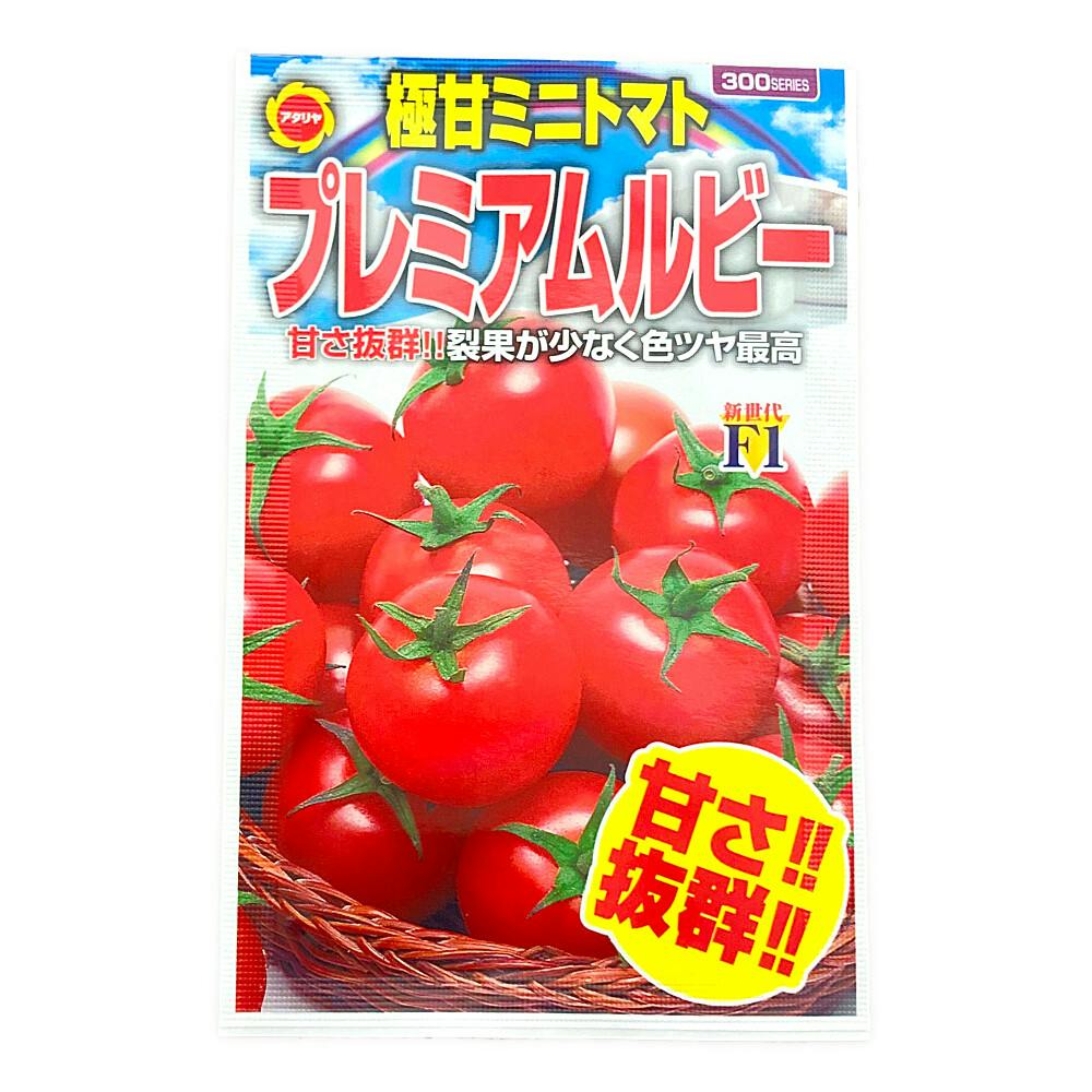 グリーントマト  タンク韓国ブランド