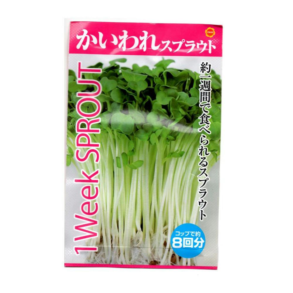 かいわれ大根様 リクエスト 2点 まとめ商品 かいわれ大根(6407): 種