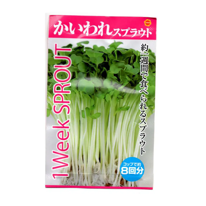 かいわれスプラウト
