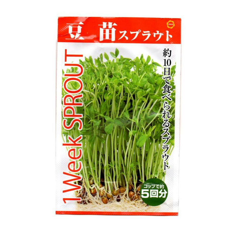 豆苗スプラウト | 花＆グリーン 通販 | ホームセンターのカインズ