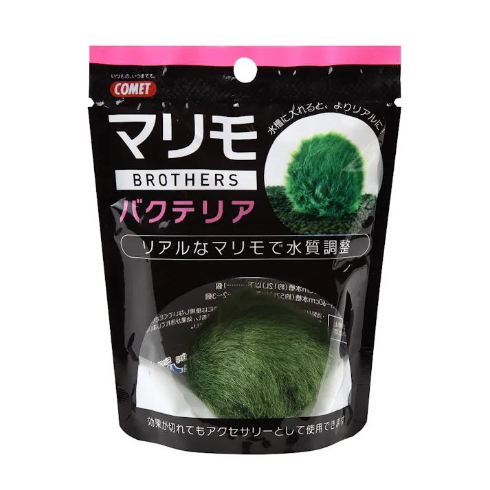 イトスイ コメット マリモブラザーズ バクテリアマリモ