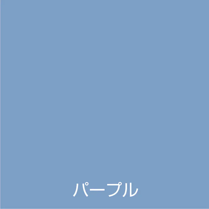 オールマイティNEO パープル 84ml