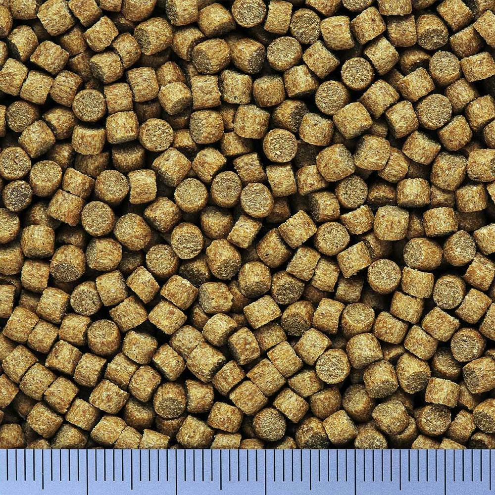 キョーリン ミニペット 沈下性 200g | 水中生物用品・水槽用品