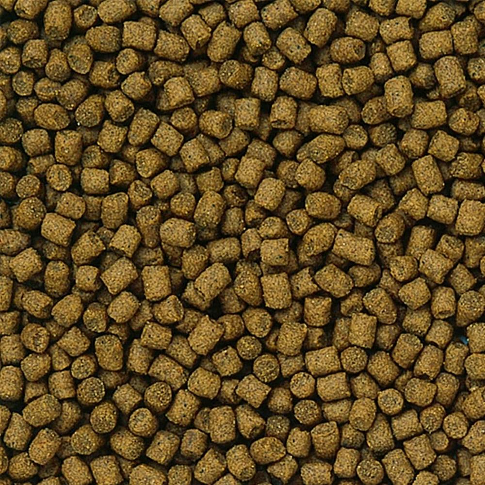 キョーリン ランチュウベビーゴールド S 300g | 水中生物用品・水槽