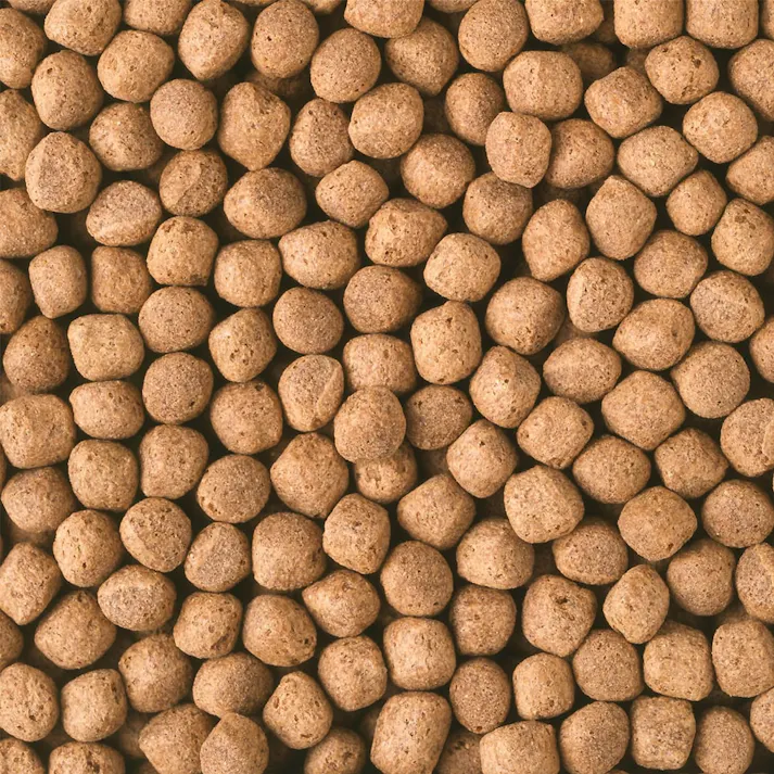 キョーリン ひかり 胚芽浮大粒 4kg