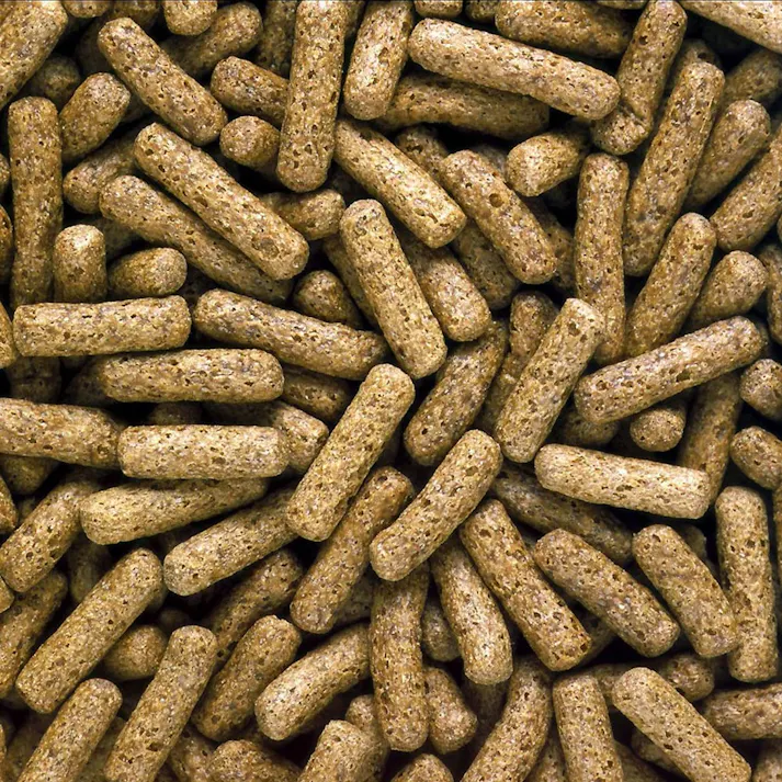 キョーリン カメプロス 550g