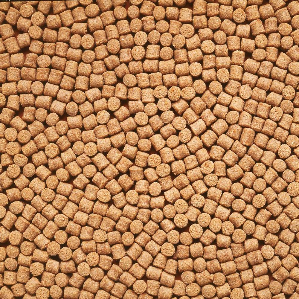 キョーリン ひかり 胚芽沈中粒 350g | 水中生物用品・水槽用品 キョーリン ひかり 胚芽沈中粒 350g | 水中生物用品・水槽用品