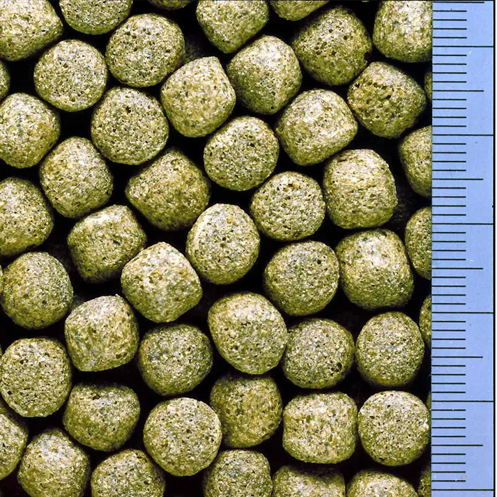 キョーリン ひかり デイリー大粒 4kg