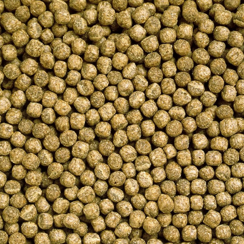 キョーリン カメのエサ大粒 200g | ペット用品（小動物・鳥・亀