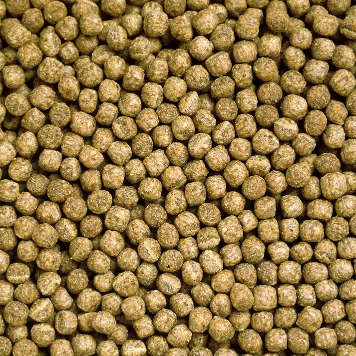 キョーリン カメのエサ大粒 200g