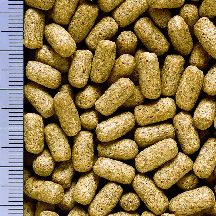 キョーリン おおきなカメのエサ特大粒 500g