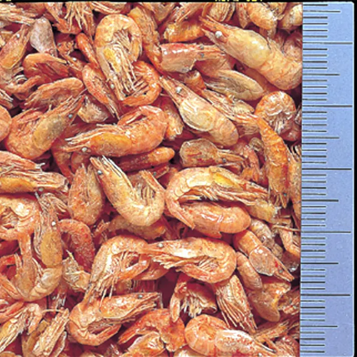 キョーリン 乾燥川エビカメのごほうび 12g