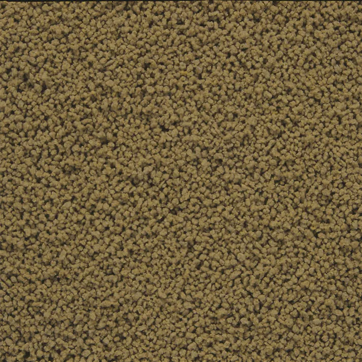 キョーリン 川魚のエサ徳用 150g