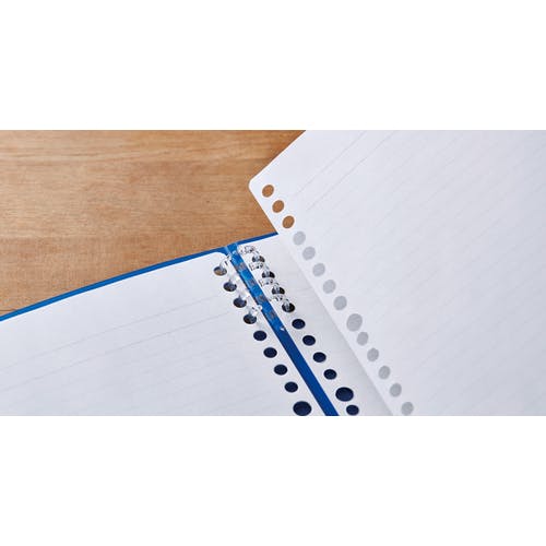 CAINZ-DASH】キングジム リングノート テフレーヌ A4 青 9856TTE-B