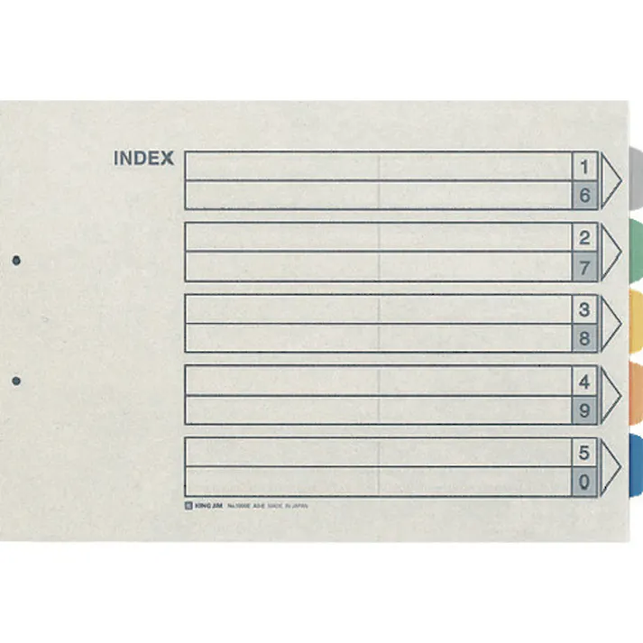 【CAINZ-DASH】キングジム カラ-インデックス A3ヨコ型 5色5山6枚1組 2穴 1000E【別送品】