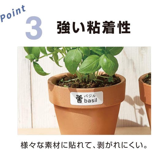 CAINZ-DASH】キングジム 【純正】「テプラ」PROテープ 50mm