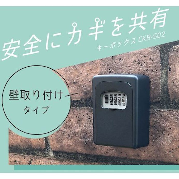 【CAINZ-DASH】カール事務器 キーボックス（壁取り付けタイプ）　ブラック CKB-S02-K【別送品】