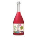 鍛高譚の梅酒 720ml【別送品】