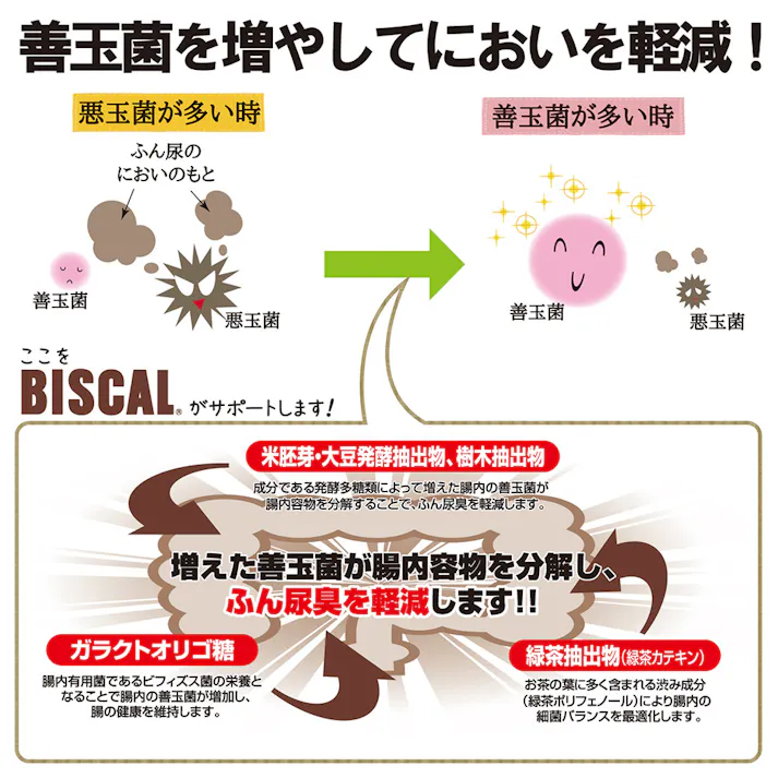 現代製薬 ビスカル 小粒 お徳用 180g