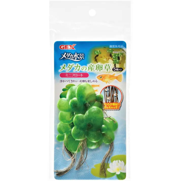 GEX メダカ水景 メダカの産卵草 ミニフロート 5個入り