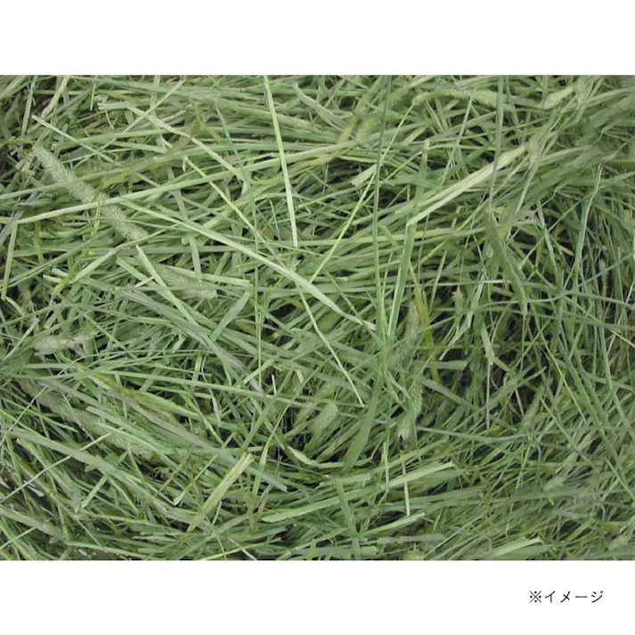 GEX 小動物の牧草 健康チモシー 900g