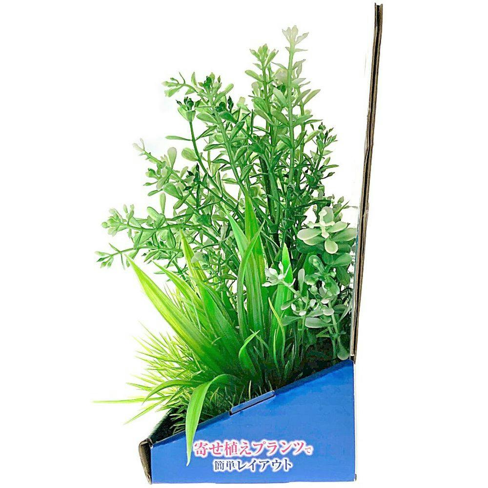 真植生体水 50ml 楽天市場】ミューズNMN20450 1か月分（90粒×1袋） 20,450mg 日本